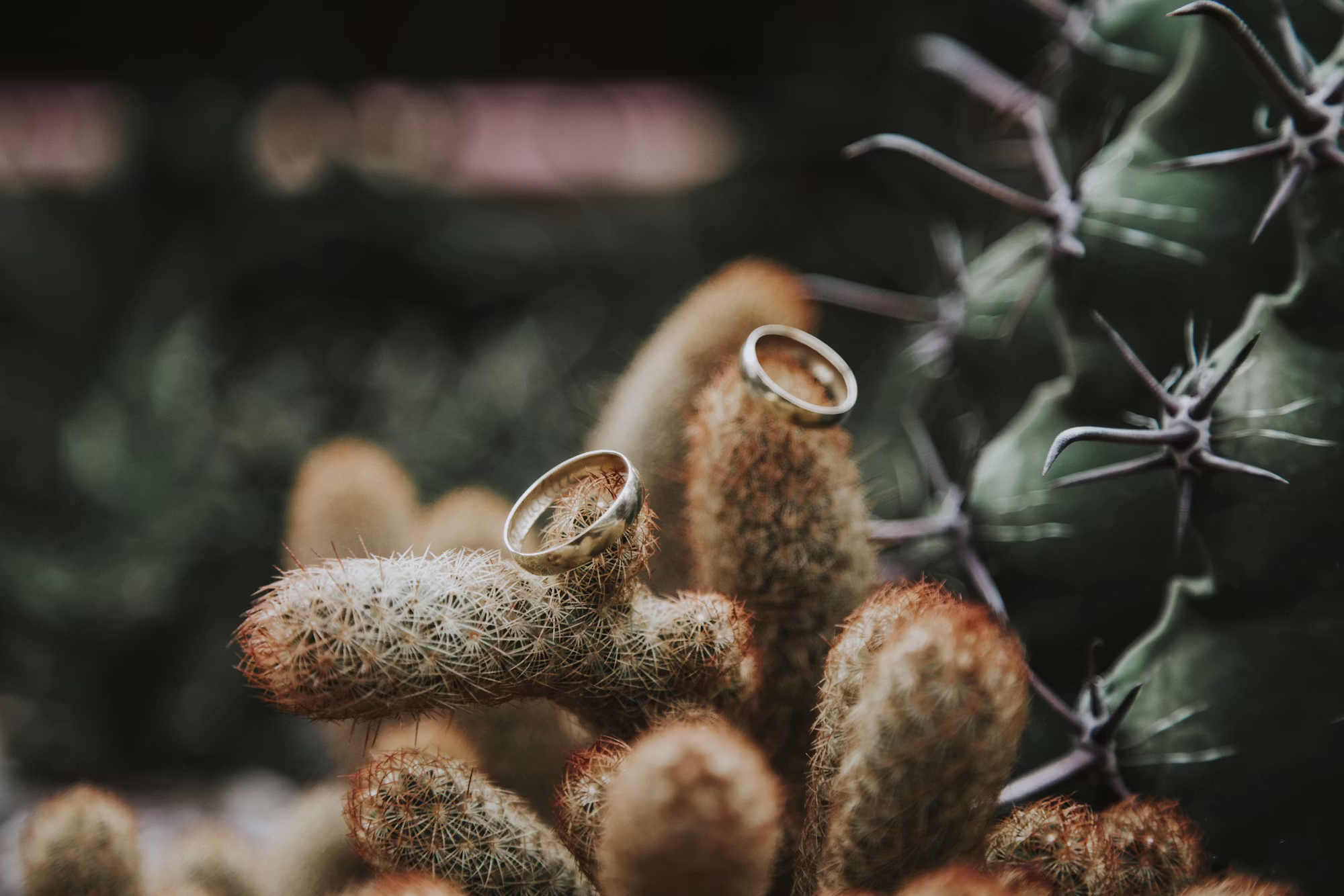Crafting Your Perfect Wedding Playlist: A Musical Journey